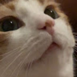 Meet your Posher, Azumi